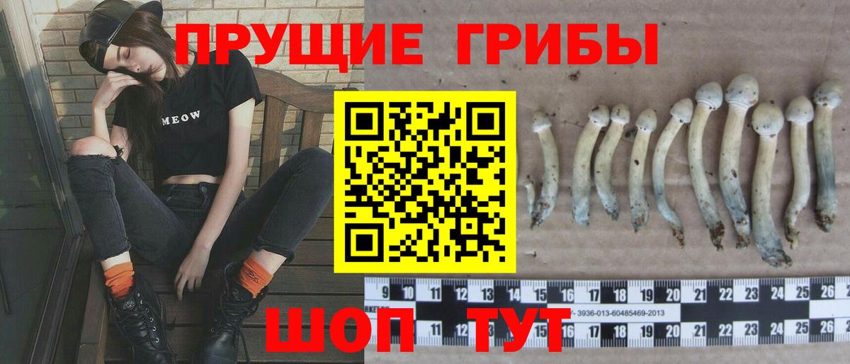 Кунгур  магазин  наркотиков  Галлюциногенные грибы Psilocybe  Вход с VPN  Галлюциногенные грибы Psilocybine cubensis 