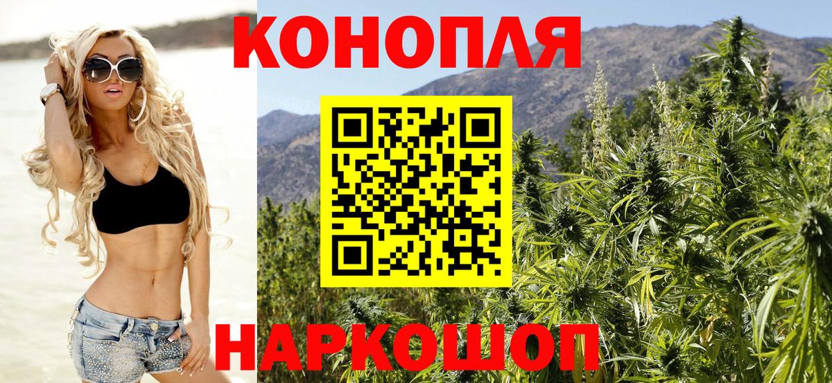 Конопля планчик Кунгур